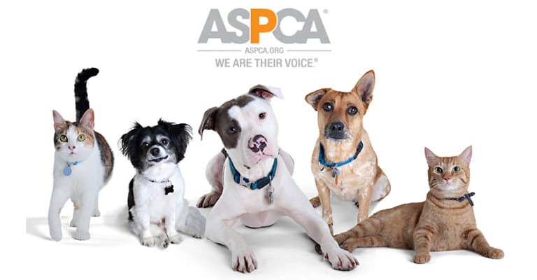 customized bathroom remodeling